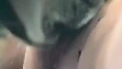 Given Knot Cum Satisfaction