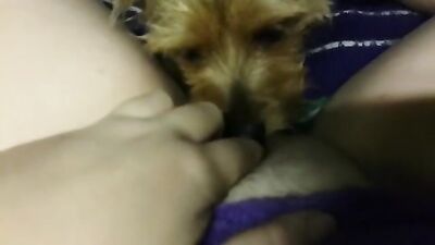 My dogs girlfriend