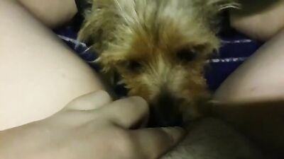 My dogs girlfriend