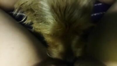 My dogs girlfriend