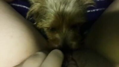 My dogs girlfriend