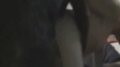 my dog raped friend