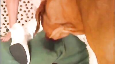 fisting while pussy lick