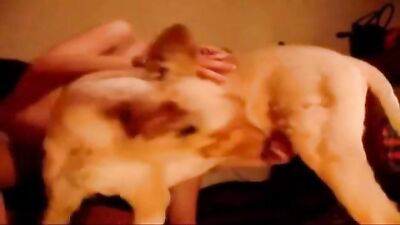 animal sex bestiality bizarre Horse dick blowjob
