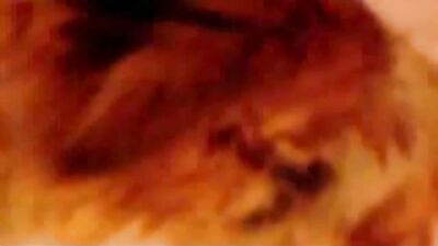 animal sex bestiality bizarre Horse dick blowjob