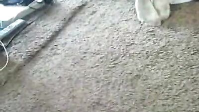 Girls Moans Echo as Horses Thick Bone Thrusts Deep Inside Her