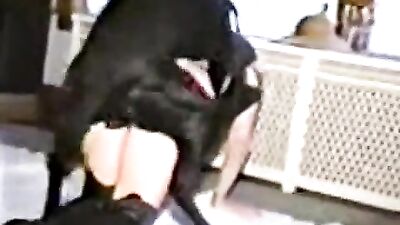 Teen Tempts Dog, then Takes His Huge Cock Down Her Hungry Throat