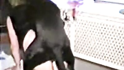 Teen Tempts Dog, then Takes His Huge Cock Down Her Hungry Throat