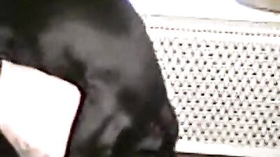 Teen Tempts Dog, then Takes His Huge Cock Down Her Hungry Throat