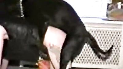 Teen Tempts Dog, then Takes His Huge Cock Down Her Hungry Throat