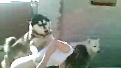 DOGOanime zoophilia