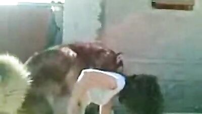 DOGOanime zoophilia