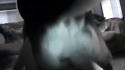 Big dog little woman - Videos de Zoofilia