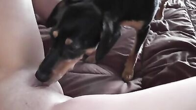 sexy latina with his dog on webcam_
