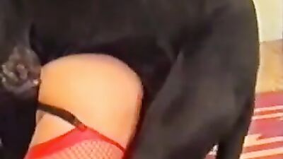 BFI - Naughty Pony Girl