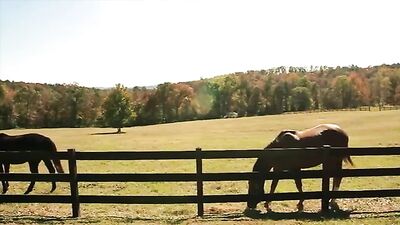 Adilia horse cum filled pussy