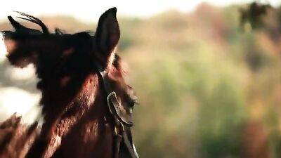 Adilia horse cum filled pussy