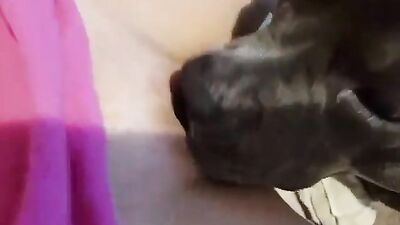 Lick milf 2