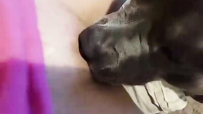 Lick milf 2