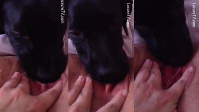 Dirty Debauchery: Real Girls Go Wild for Canine Cocks