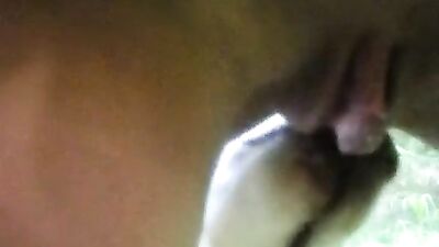Lick my pee