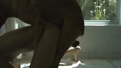 Luna slow speed movie
