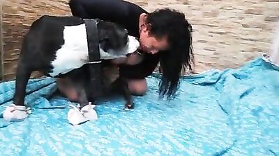 Milf compilation best milf bestiality mom