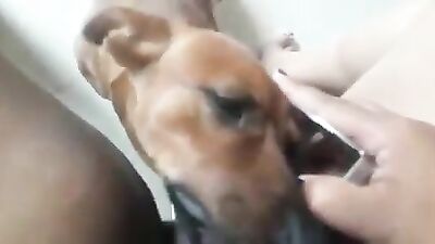 Horny milf gets a good lick from your good boy