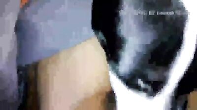 licking dog balls