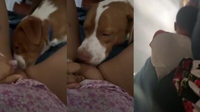Lick me boy, while my husband sleep