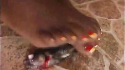 toe sucking by fish