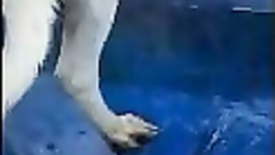 doggy dick squirting cum