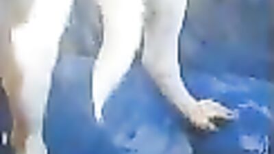 doggy dick squirting cum