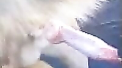 doggy dick squirting cum