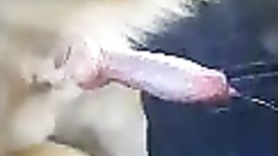 doggy dick squirting cum