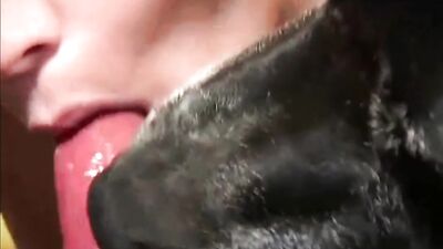 Beautiful compilation