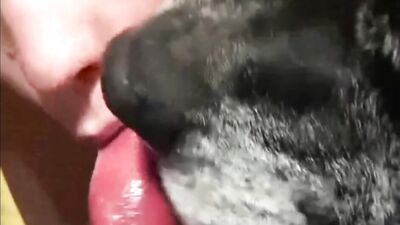 Beautiful compilation