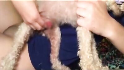 Pint-Sized Pup Pounder Takes Milos Massive Meat