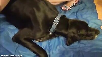 BBW Pearls Her Canine Companion