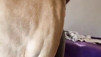 Brown animal enjoying hot sex with a kinky gal