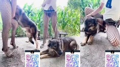 Hot asian bitch love suck dogs dick