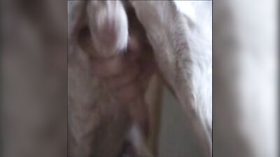 girl masturbating and sucking dog