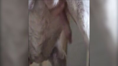 girl masturbating and sucking dog