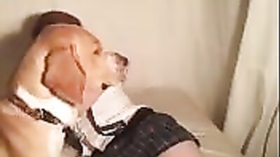 women suck a dog