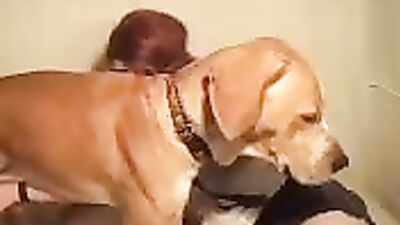 women suck a dog