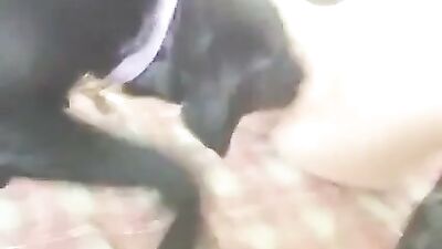GOZANDO na boca do Cão 22