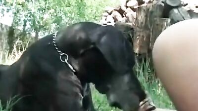 GOZANDO no Fucinho do Cão