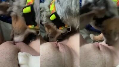 Hot dog 24
