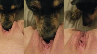 Hot dog 23
