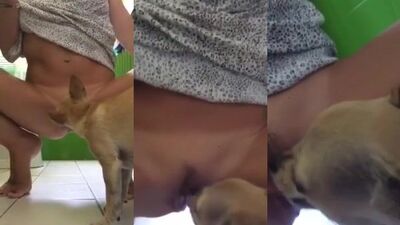 Hot dog 14